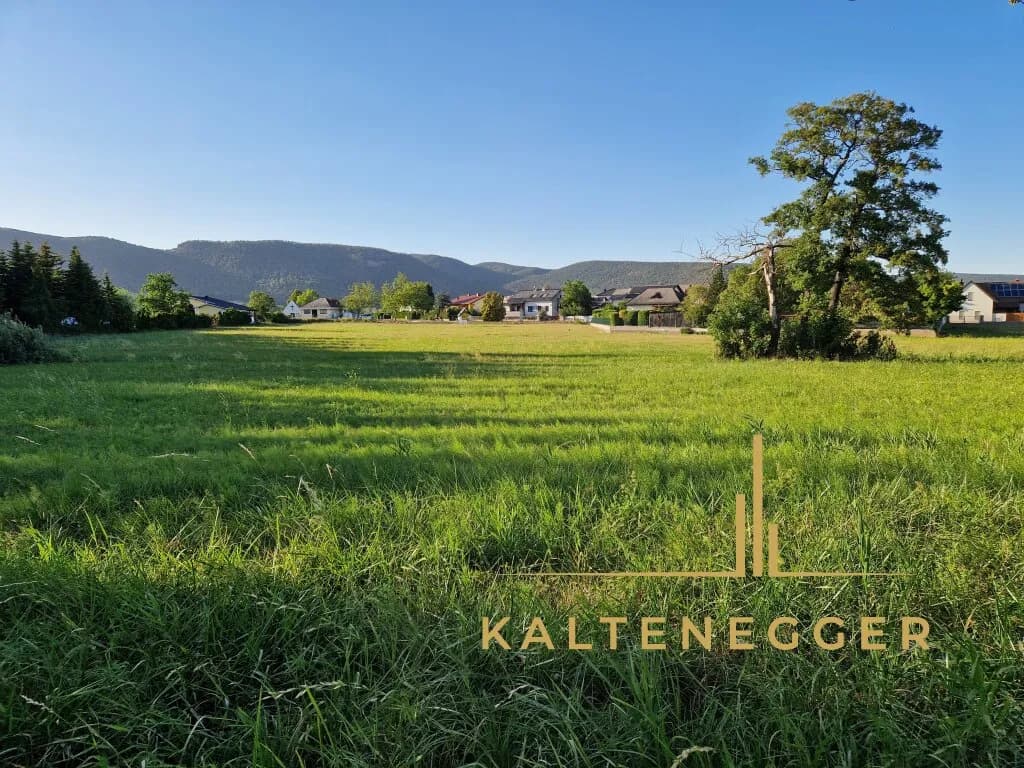 Grundstück kaufen in Wiener Neustadt Land – 2 169 m², € 177.000