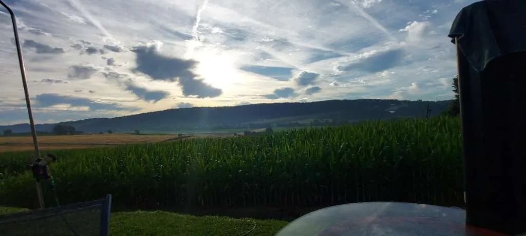Immobilie kaufen in Leibnitz – 922 m², € 248.888 – Bild 6 von 67