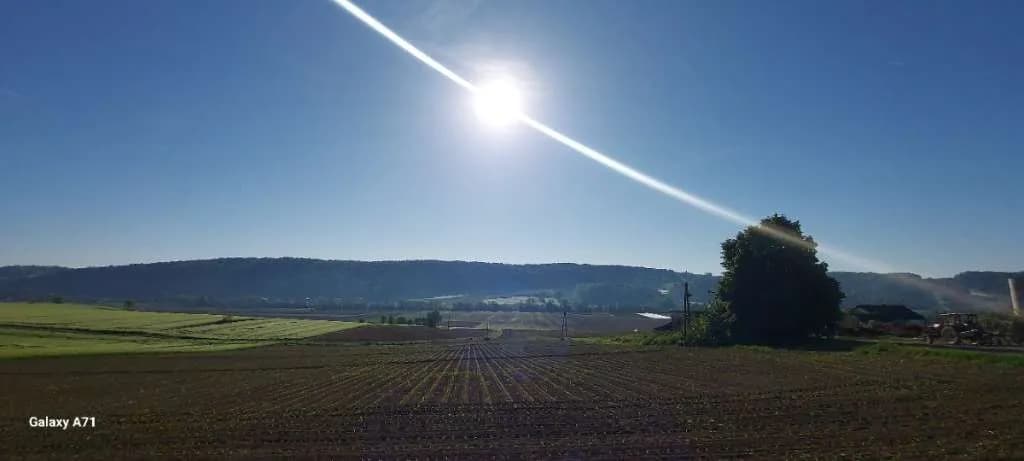 Immobilie kaufen in Leibnitz – 922 m², € 248.888 – Bild 51 von 67