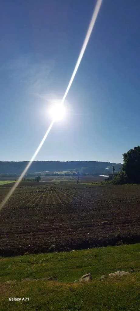 Immobilie kaufen in Leibnitz – 922 m², € 248.888 – Bild 52 von 67