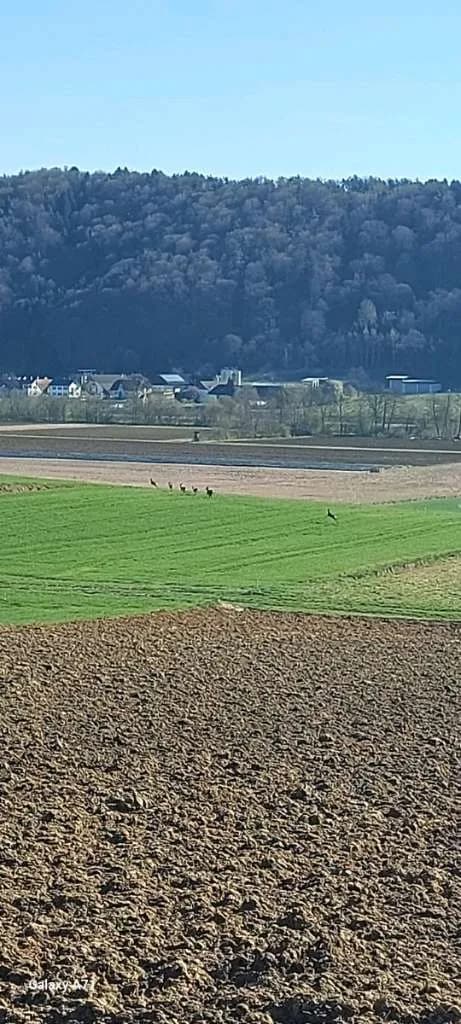 Immobilie kaufen in Leibnitz – 922 m², € 248.888 – Bild 61 von 67