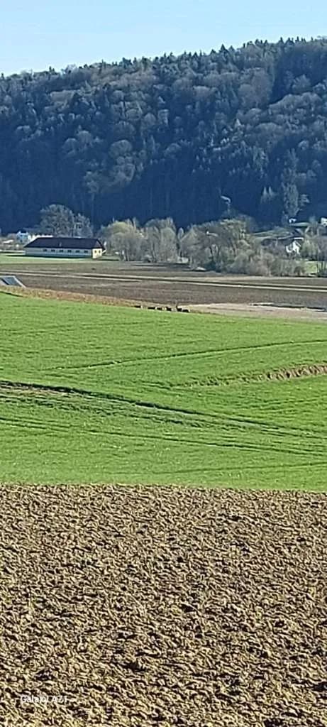 Immobilie kaufen in Leibnitz – 922 m², € 248.888 – Bild 62 von 67
