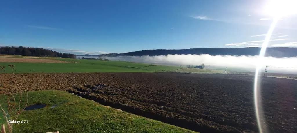 Immobilie kaufen in Leibnitz – 922 m², € 248.888 – Bild 65 von 67