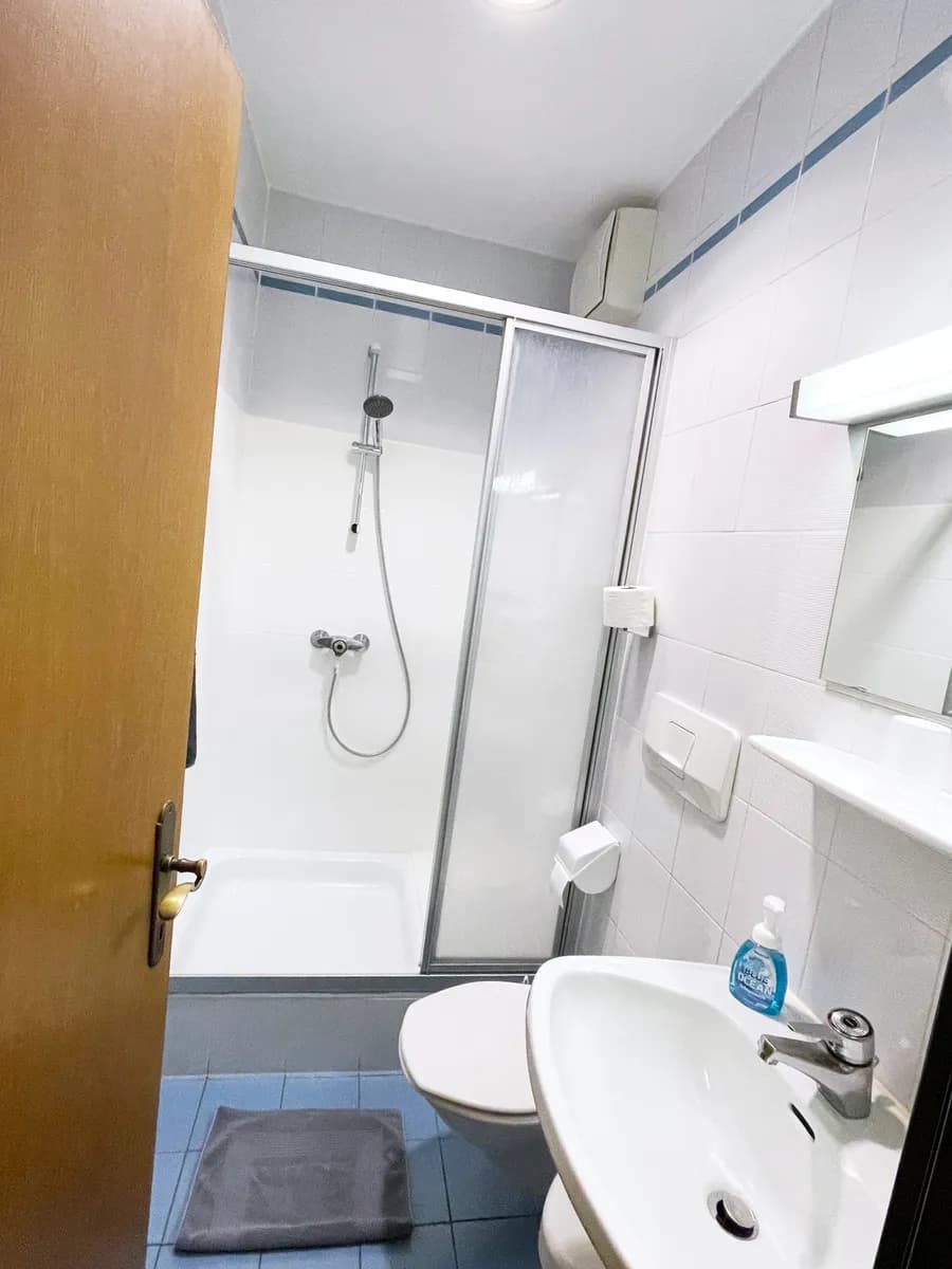 17-Zimmer-Wohnung kaufen in Graz – 330 m², € 990.000 – Bild 4 von 6