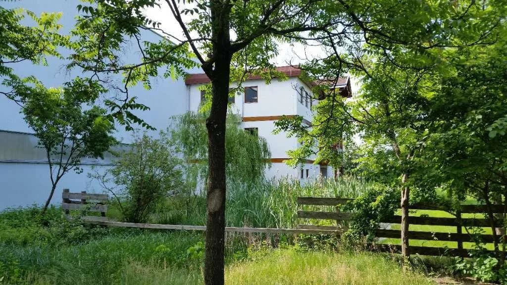 Gewerbeimmobilie kaufen in Wiener Neustadt – 2 556 m² – Bild 9 von 17