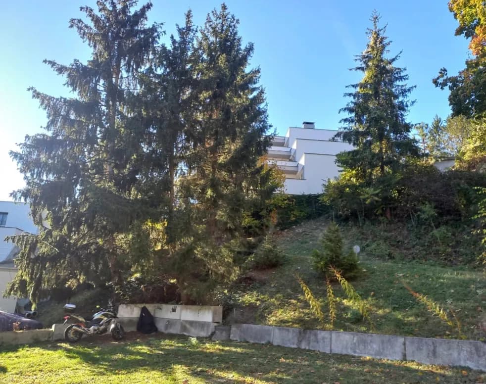 2-Zimmer-Wohnung mieten in Baden – 55 m², € 625 – Bild 2 von 13