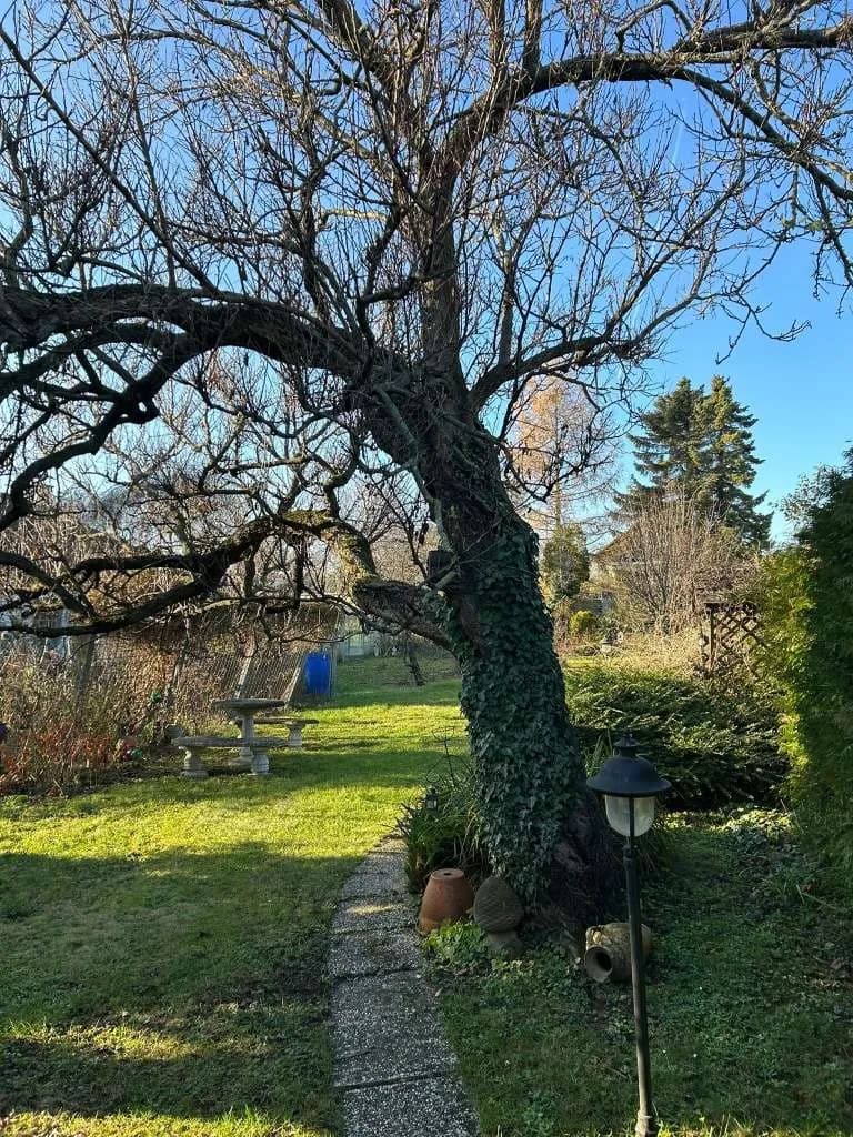 5-Zimmer-Haus kaufen in Mattersburg – 185 m², € 299.000 – Bild 18 von 22