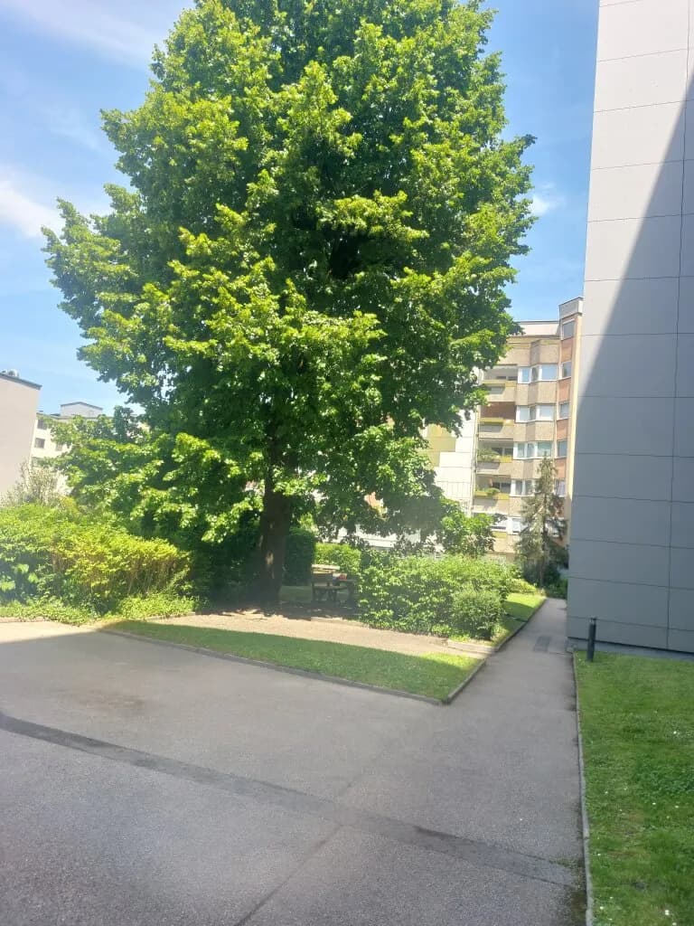 Wohnung mieten in Wels – 93,16 m², € 1.271 – Bild 2 von 12