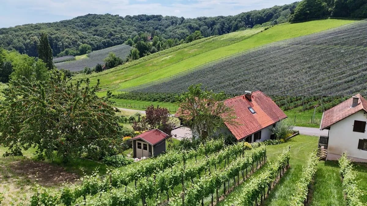 7-Zimmer-Haus kaufen in Südoststeiermark – 150 m², € 395.000 – Bild 37 von 44