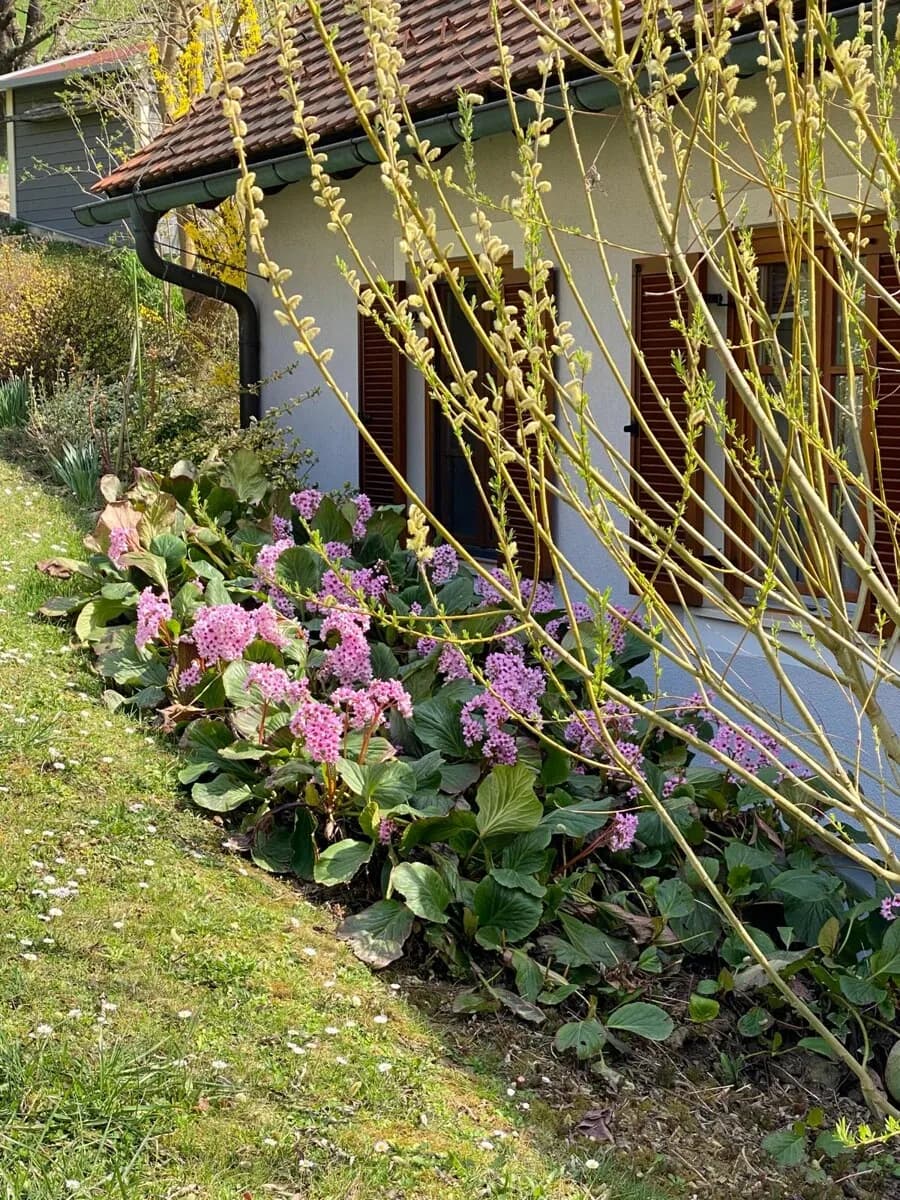 7-Zimmer-Haus kaufen in Südoststeiermark – 150 m², € 395.000 – Bild 40 von 44