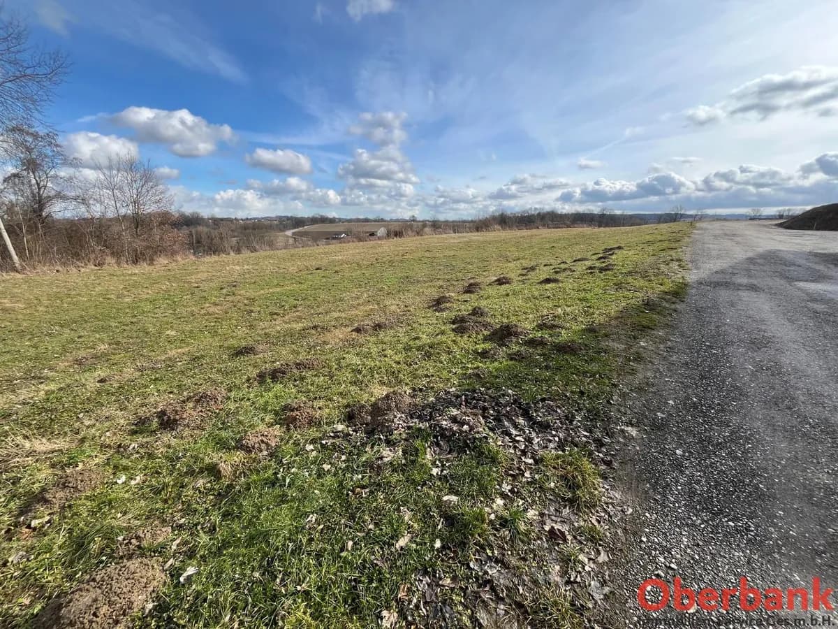 Grundstück kaufen in Ried im Innkreis – 1 047 m², € 152.496 – Bild 5 von 8