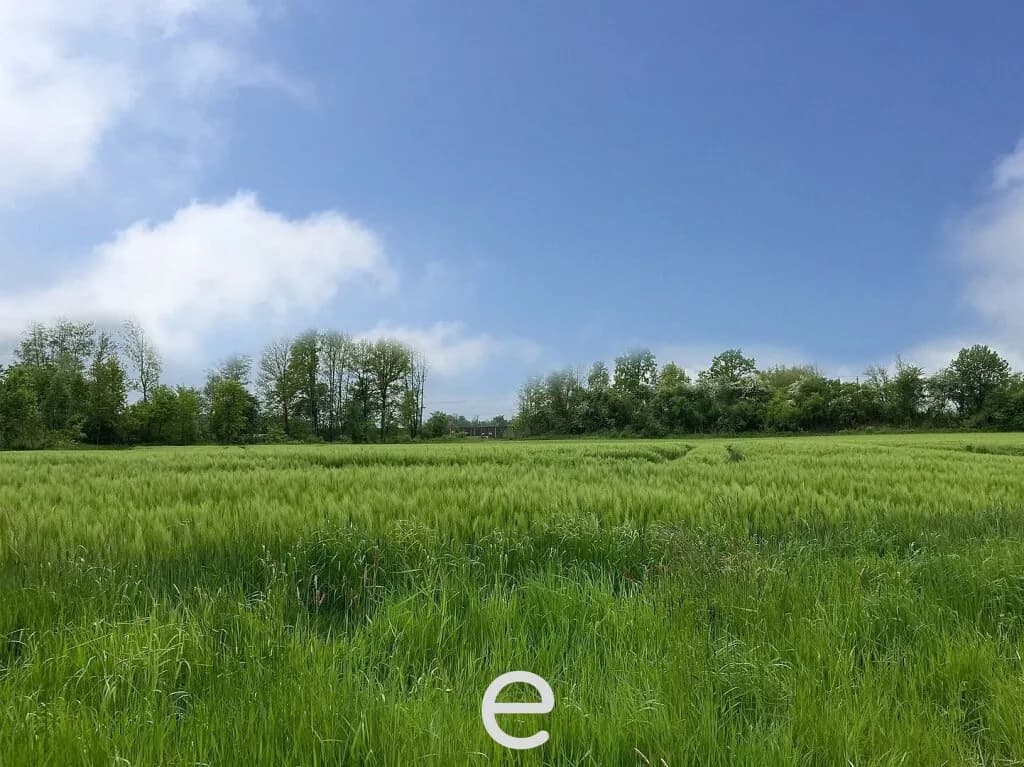Grundstück kaufen in Schärding – 955 m², € 47.750 – Bild 3 von 9