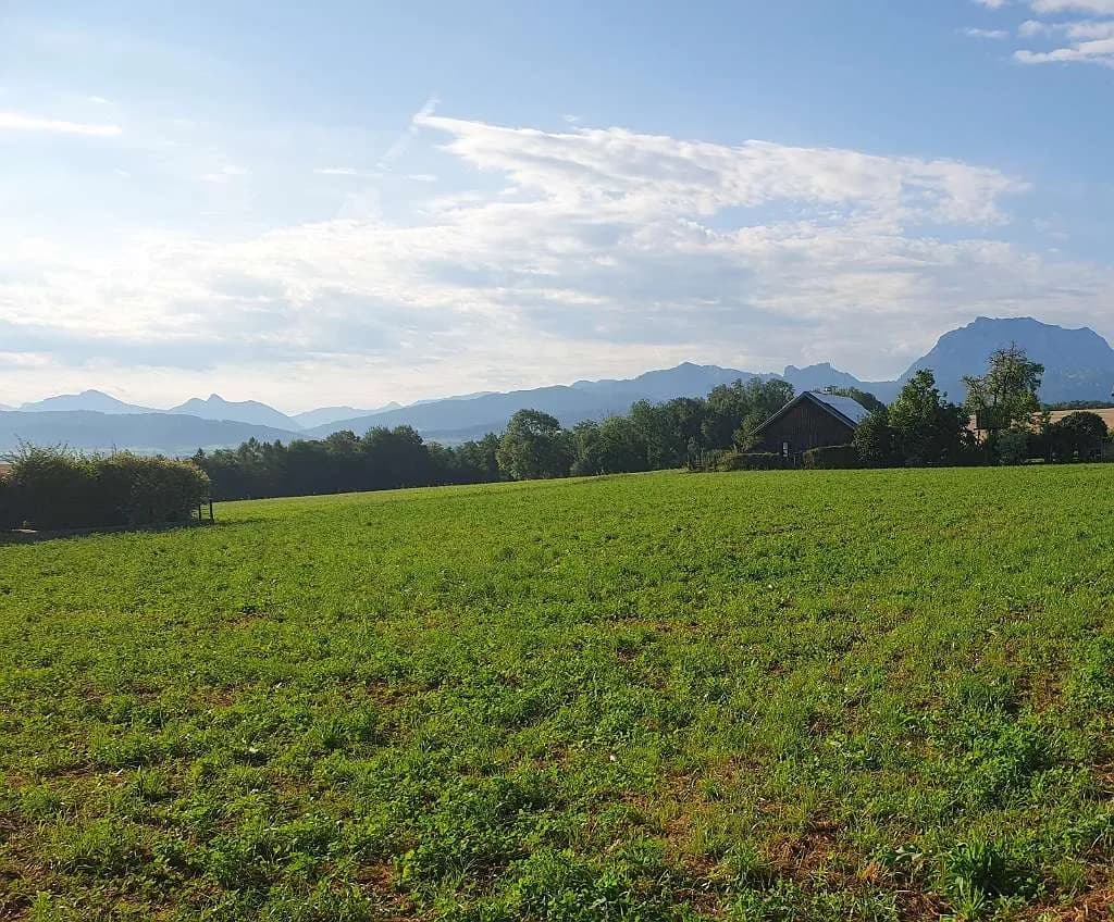Grundstück kaufen in Gmunden – 600 m², € 156.000 – Bild 2 von 4