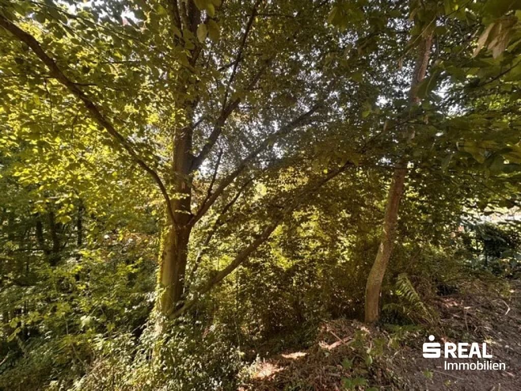 Grundstück kaufen in Linz – 4 094 m², € 1.560.000 – Bild 10 von 16