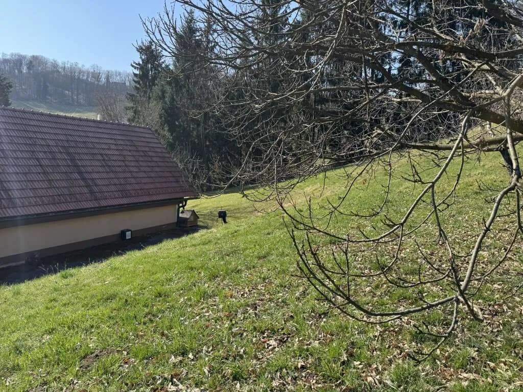 7-Zimmer-Immobilie mieten in Leibnitz – 153,04 m², € 1.500 – Bild 4 von 15