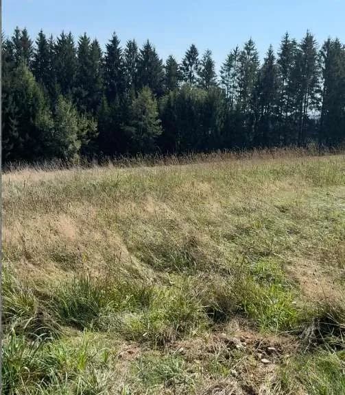 Grundstück kaufen in Urfahr-Umgebung – 741 m², € 90.000