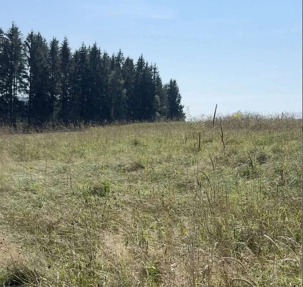 Grundstück kaufen in Urfahr-Umgebung – 741 m², € 90.000 – Bild 2 von 4