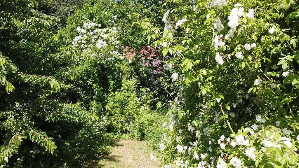 5-Zimmer-Haus kaufen in Gmünd – 200 m², € 395.000 – Bild 26 von 31