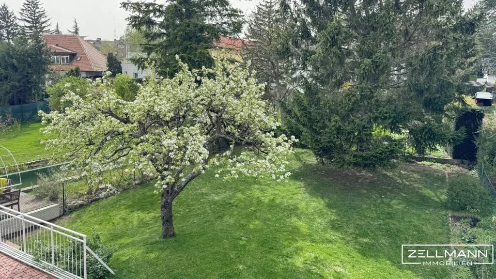 7-Zimmer-Haus mieten in Wien – 298,4 m², € 3.800 – Bild 9 von 13