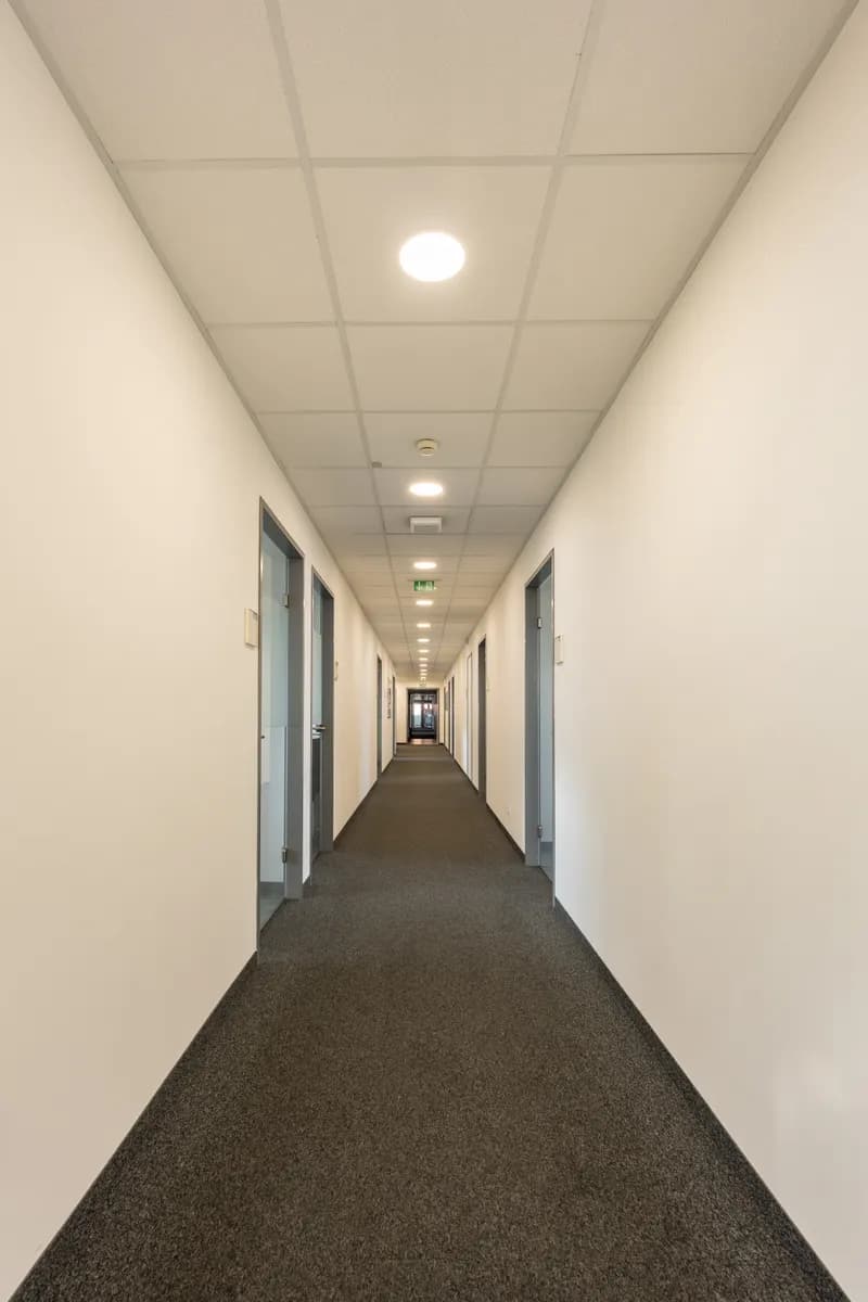 Gewerbeimmobilie mieten in Graz – 2 793 m², € 46.681 – Bild 3 von 7