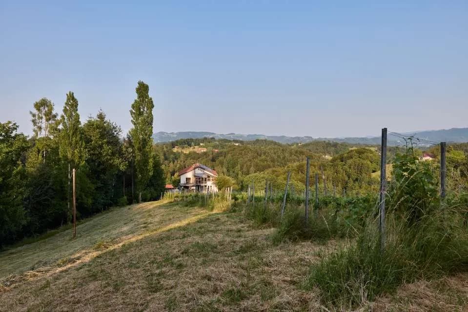 Immobilie kaufen in Leibnitz – 169 000 m² – Bild 1 von 15