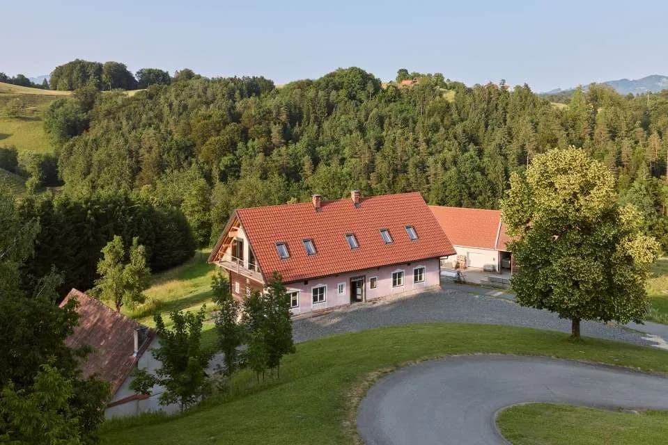 Immobilie kaufen in Leibnitz – 169 000 m² – Bild 11 von 15