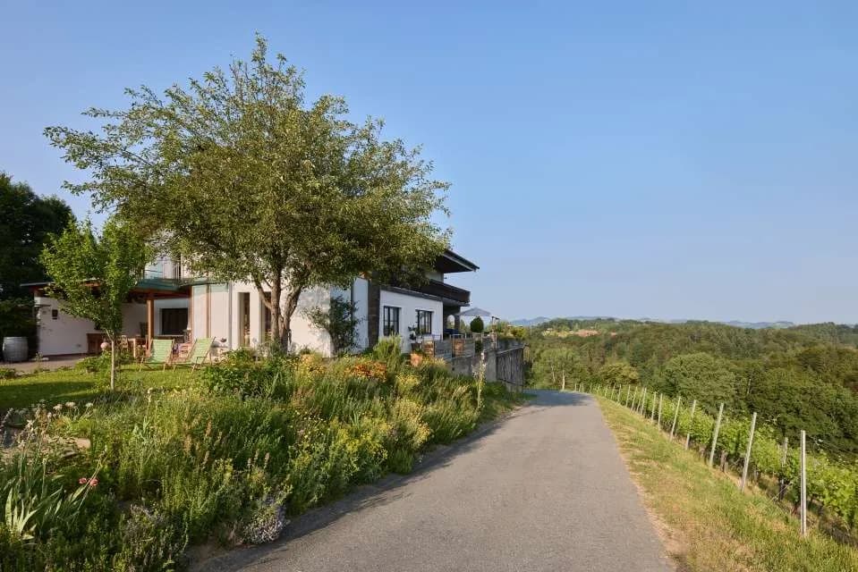 Haus kaufen in Leibnitz – 334 m² – Bild 2 von 16