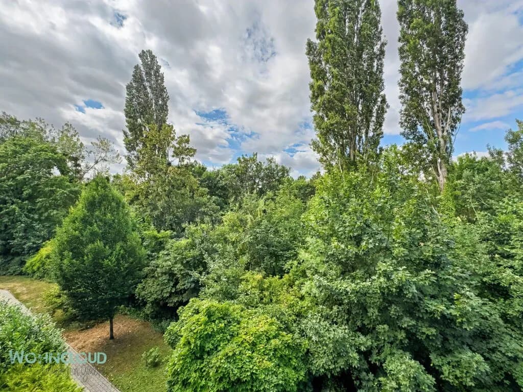 2-Zimmer-Wohnung mieten in Baden – 40,82 m², € 790 – Bild 12 von 16