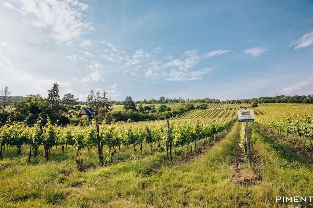 4-Zimmer-Wohnung kaufen in Wien – 121,63 m², € 1.890.000 – Bild 15 von 19