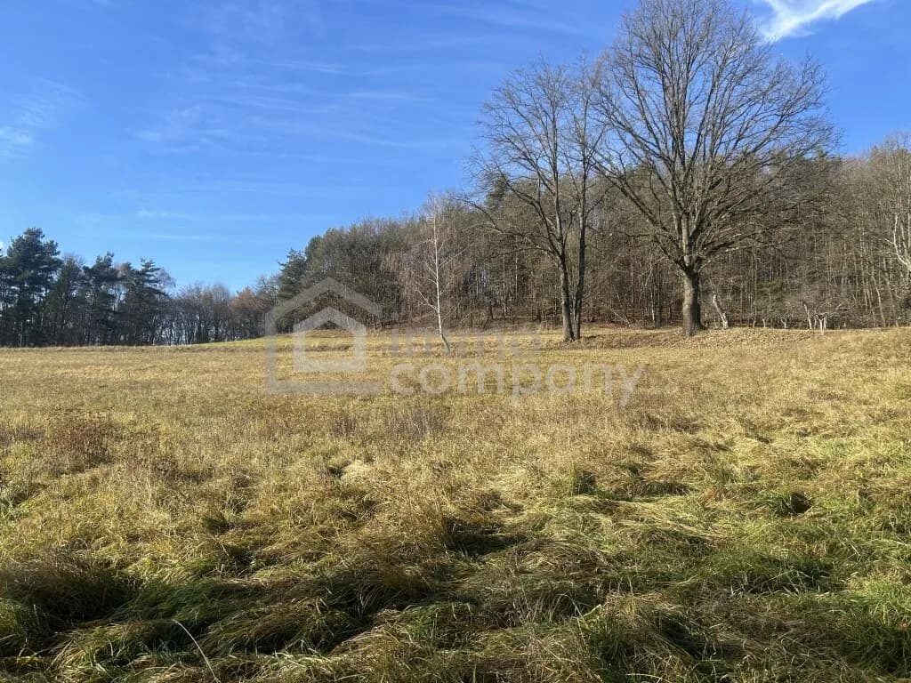 Grundstück kaufen in Jennersdorf – 6 091 m², € 74.000