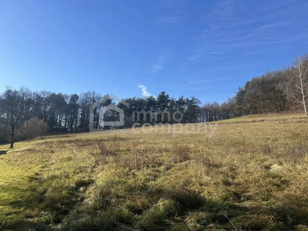 Grundstück kaufen in Jennersdorf – 6 091 m², € 74.000 – Bild 2 von 4