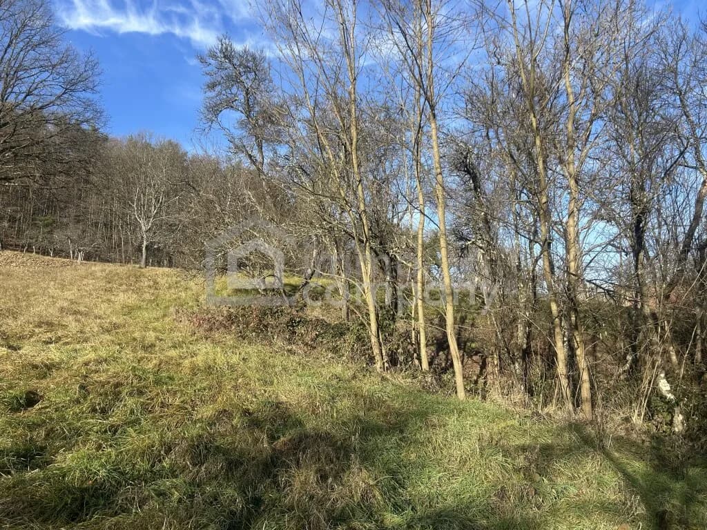 Grundstück kaufen in Jennersdorf – 6 091 m², € 74.000 – Bild 3 von 4