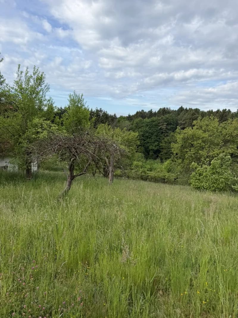 Grundstück kaufen in Weiz – 25 134 m², € 289.000 – Bild 8 von 8
