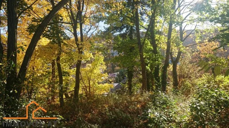 Grundstück kaufen in Tulln – 2 000 m² – Bild 3 von 3