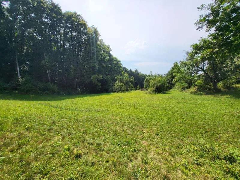 Grundstück kaufen in Hartberg-Fürstenfeld – 4 680 m², € 290.000