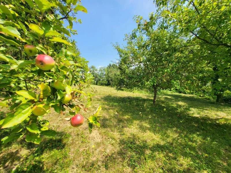 Grundstück kaufen in Hartberg-Fürstenfeld – 4 680 m², € 290.000 – Bild 2 von 12