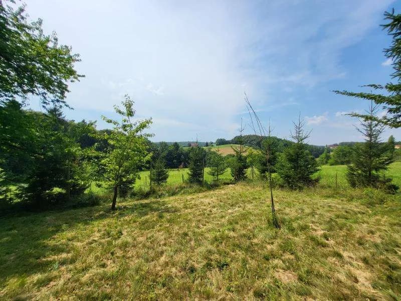 Grundstück kaufen in Hartberg-Fürstenfeld – 4 680 m², € 290.000 – Bild 3 von 12