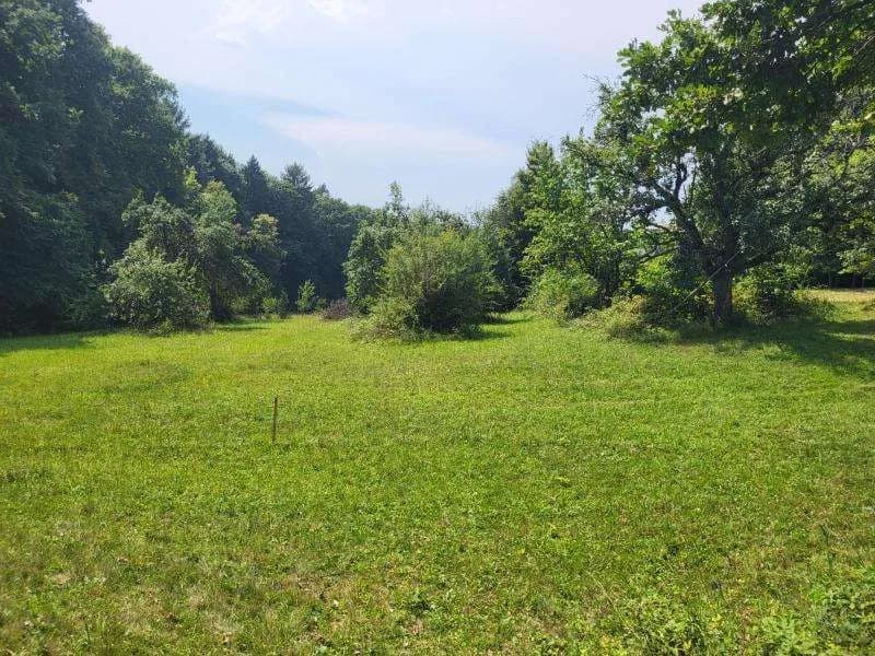 Grundstück kaufen in Hartberg-Fürstenfeld – 4 680 m², € 290.000 – Bild 8 von 12