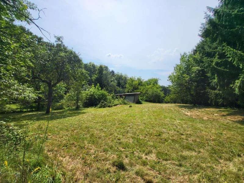 Grundstück kaufen in Hartberg-Fürstenfeld – 4 680 m², € 290.000 – Bild 9 von 12