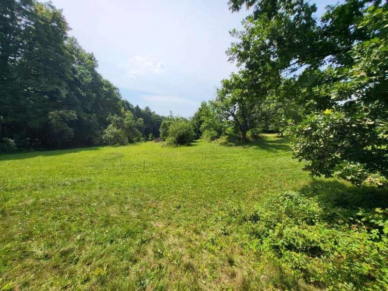 Grundstück kaufen in Hartberg-Fürstenfeld – 4 680 m², € 290.000 – Bild 12 von 12