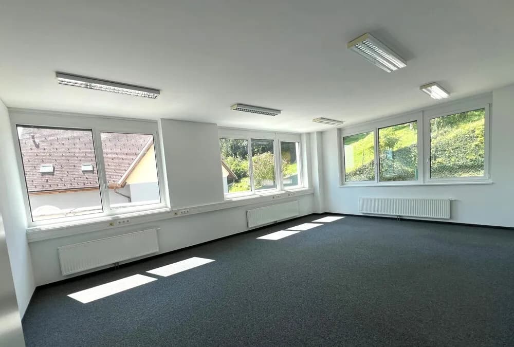Gewerbeimmobilie mieten in Graz – 603 m², € 13 – Bild 3 von 11