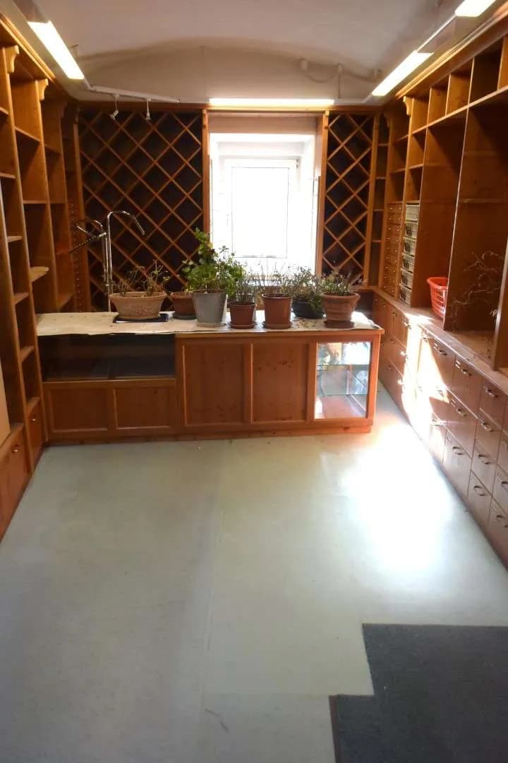 Gewerbeimmobilie mieten in Waidhofen an der Ybbs – 55 m², € 480 – Bild 2 von 4