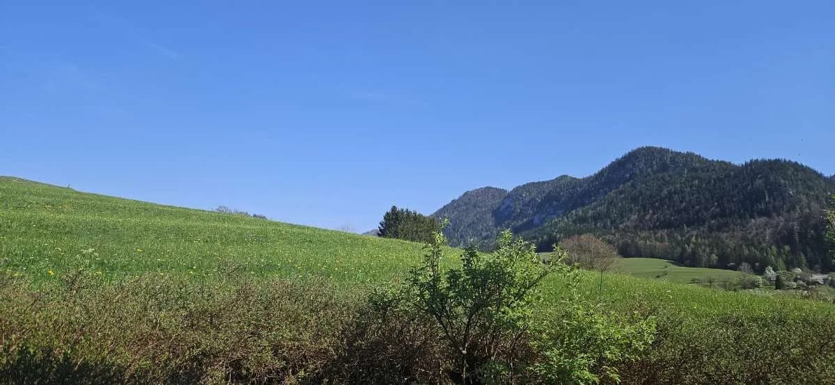 8-Zimmer-Haus kaufen in Liezen – 230 m², € 2.250.000 – Bild 5 von 8