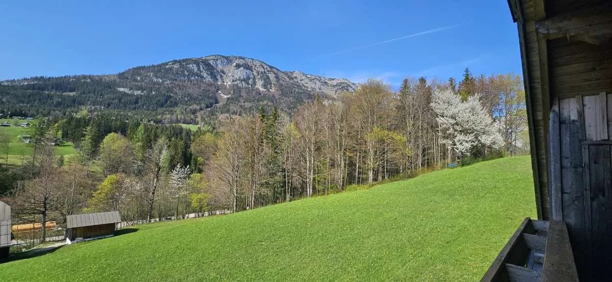 8-Zimmer-Haus kaufen in Liezen – 230 m², € 2.250.000 – Bild 6 von 8