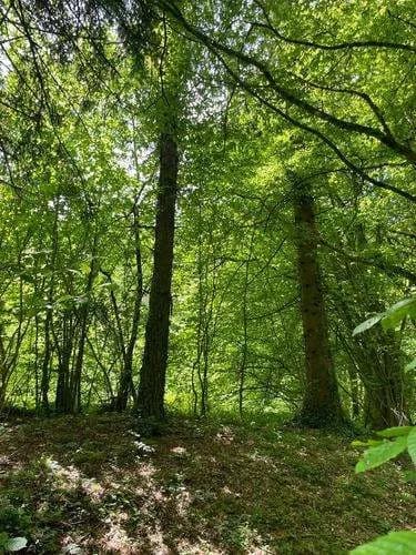 Grundstück kaufen in Graz – 700 m², € 200.000 – Bild 2 von 5