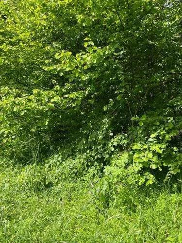 Grundstück kaufen in Graz – 700 m², € 200.000 – Bild 3 von 5