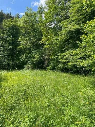 Grundstück kaufen in Graz – 700 m², € 200.000 – Bild 4 von 5
