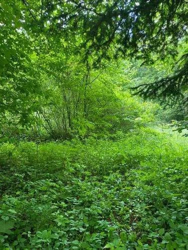 Grundstück kaufen in Graz – 700 m², € 200.000 – Bild 5 von 5