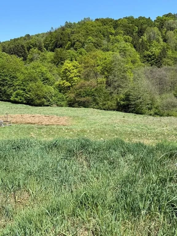 Grundstück kaufen in Graz-Umgebung – 915 m², € 230.500