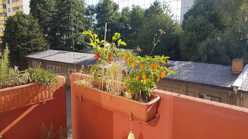 2-Zimmer-Wohnung mieten in Graz – 46 m², € 753 – Bild 8 von 9